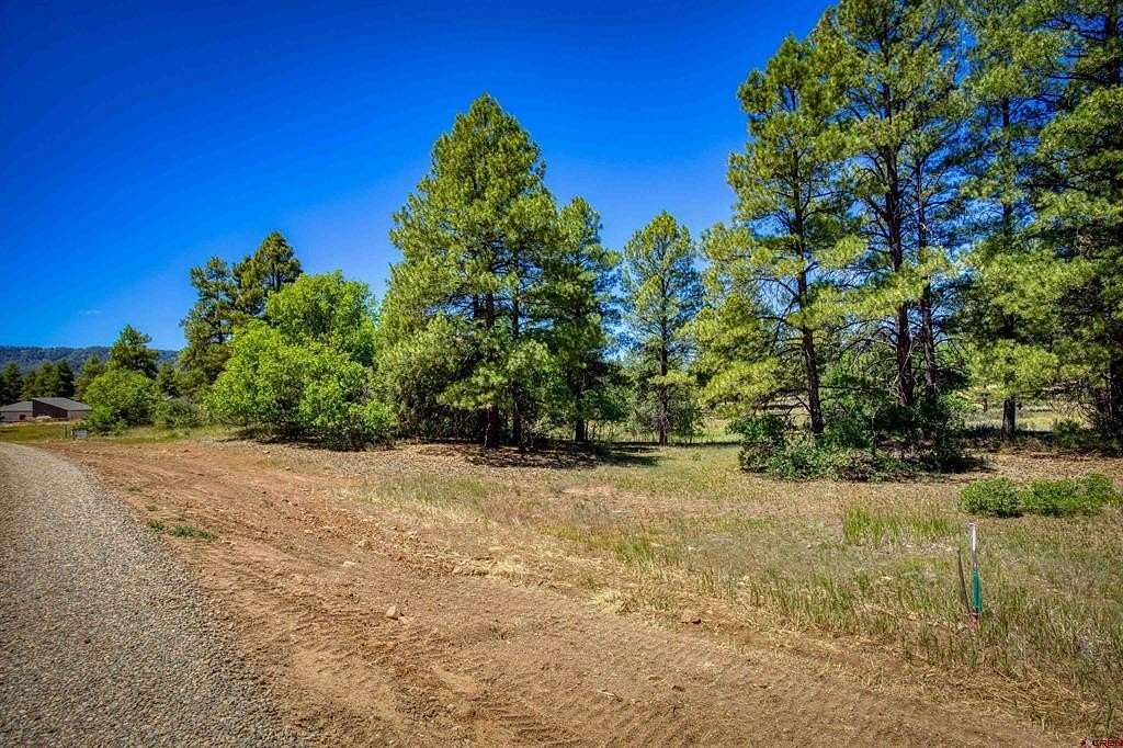 0.32 Acres of Land for Sale in Pagosa Springs, Colorado