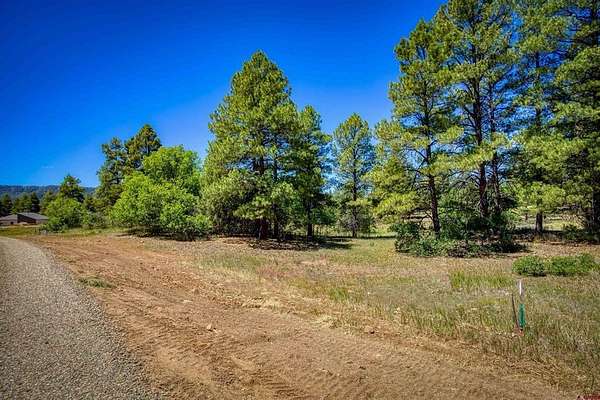 0.32 Acres of Land for Sale in Pagosa Springs, Colorado