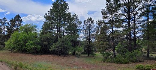 0.32 Acres of Residential Land for Sale in Pagosa Springs, Colorado