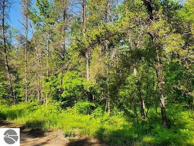 39.4 Acres of Recreational Land for Sale in Alger, Michigan