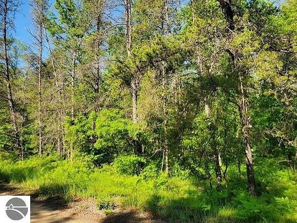 39.4 Acres of Recreational Land for Sale in Alger, Michigan