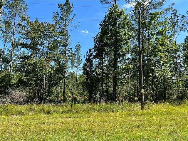 9.2 Acres of Land for Sale in Pollock, Louisiana