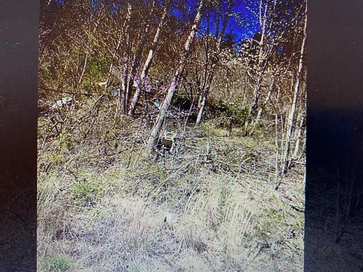 1 Acre of Residential Land for Sale in Harold, Kentucky