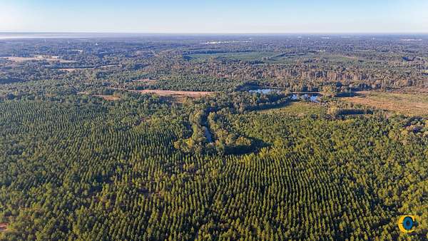 268 Acres of Recreational Land for Sale in East Dublin, Georgia