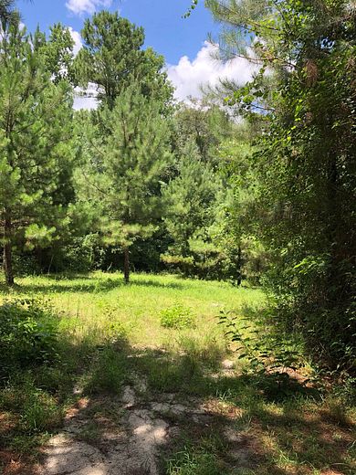 19 Acres of Recreational Land for Sale in Rockledge, Georgia