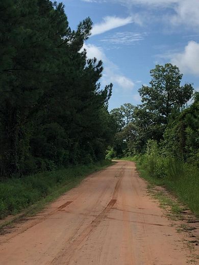 410 Acres of Recreational Land for Sale in Toomsboro, Georgia