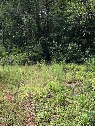 397 Acres of Recreational Land for Sale in Toomsboro, Georgia