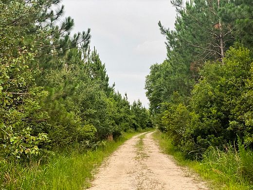 331 Acres of Recreational Land for Sale in Alma, Georgia