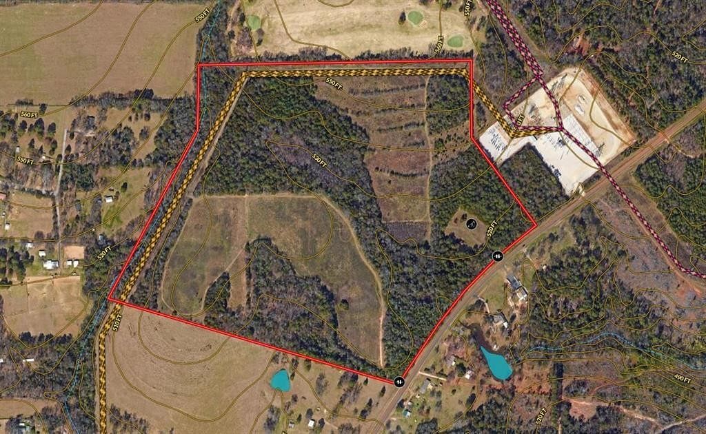 91.7 Acres of Agricultural Land for Sale in Tyler, Texas