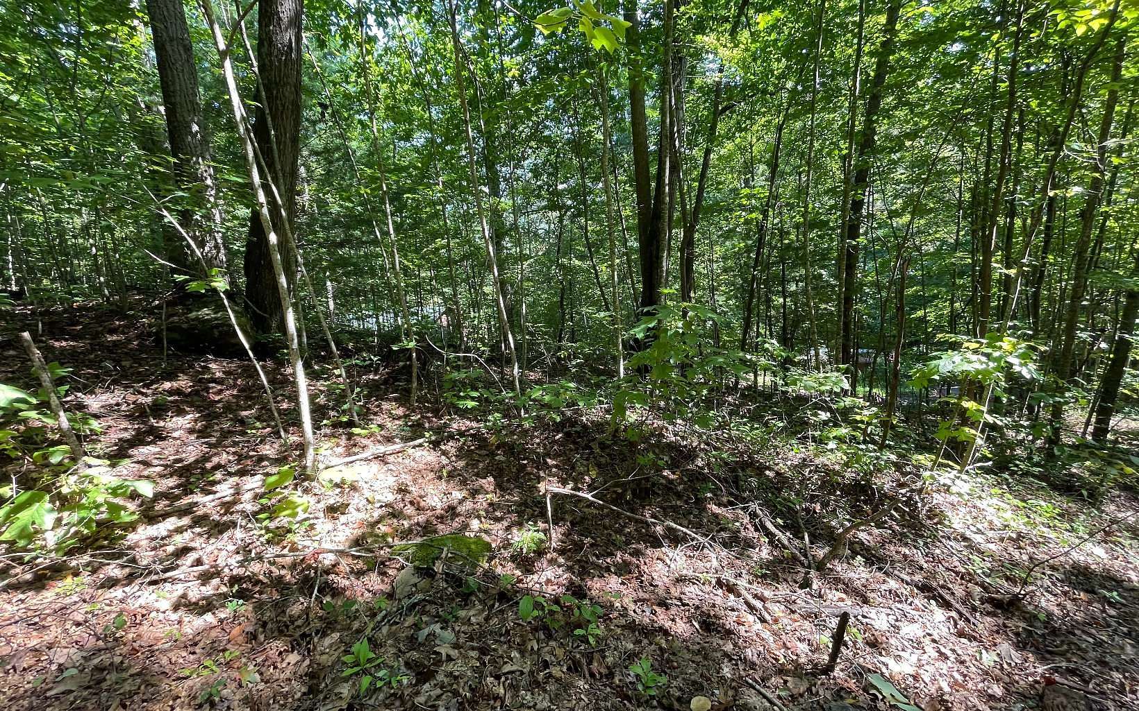 0.81 Acres of Land for Sale in Hiawassee, Georgia