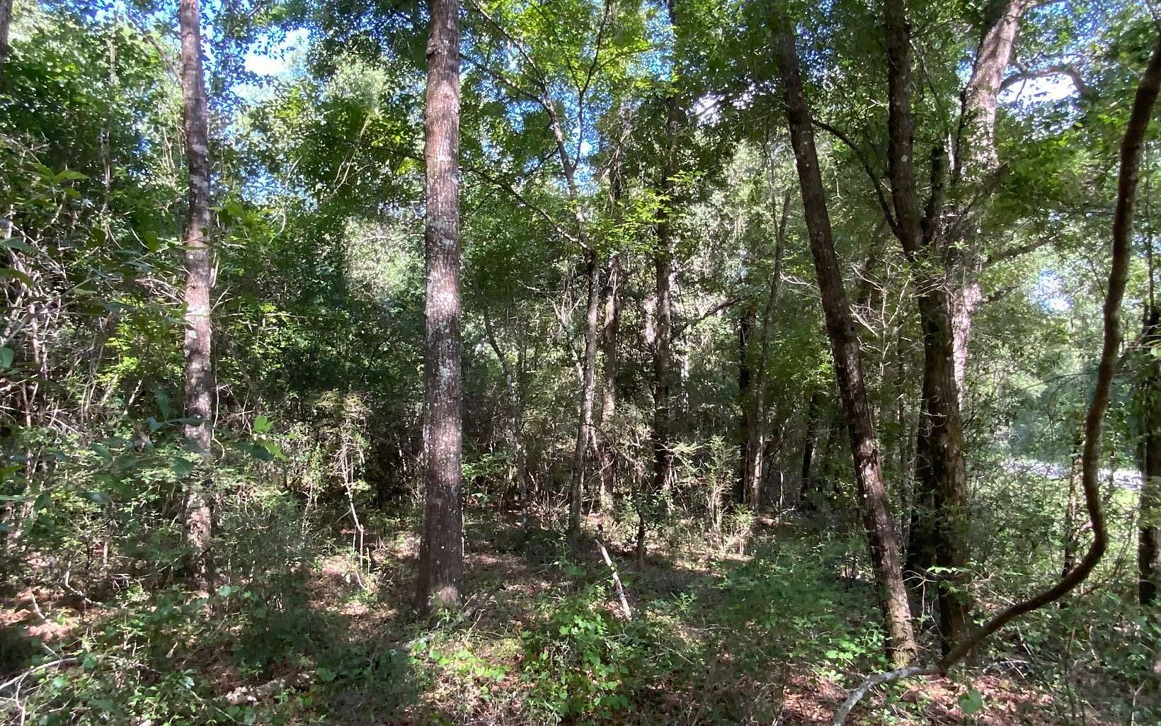 1 Acre of Land for Sale in Live Oak, Florida