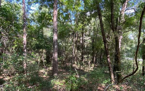 1 Acre of Land for Sale in Live Oak, Florida