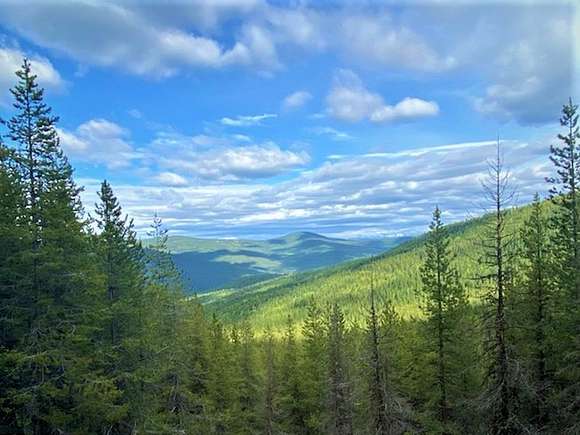 160 Acres of Recreational Land for Sale in Sandpoint, Idaho