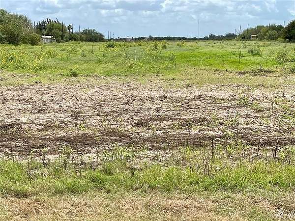 9.12 Acres of Commercial Land for Sale in Progreso, Texas