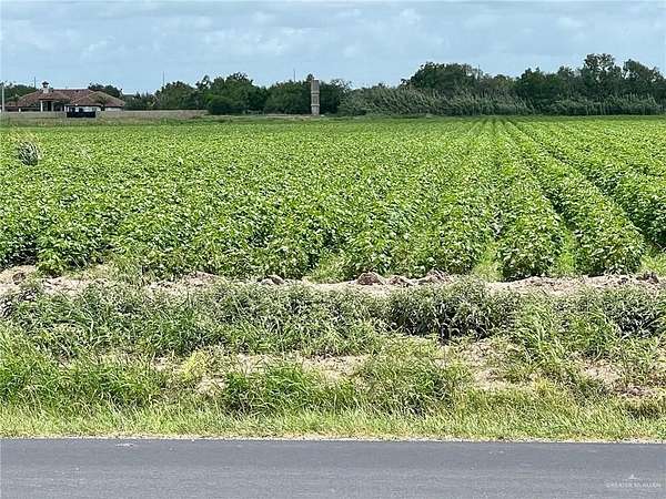 25.5 Acres of Land for Sale in Progreso, Texas