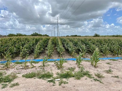 5.5 Acres of Commercial Land for Sale in Progreso, Texas