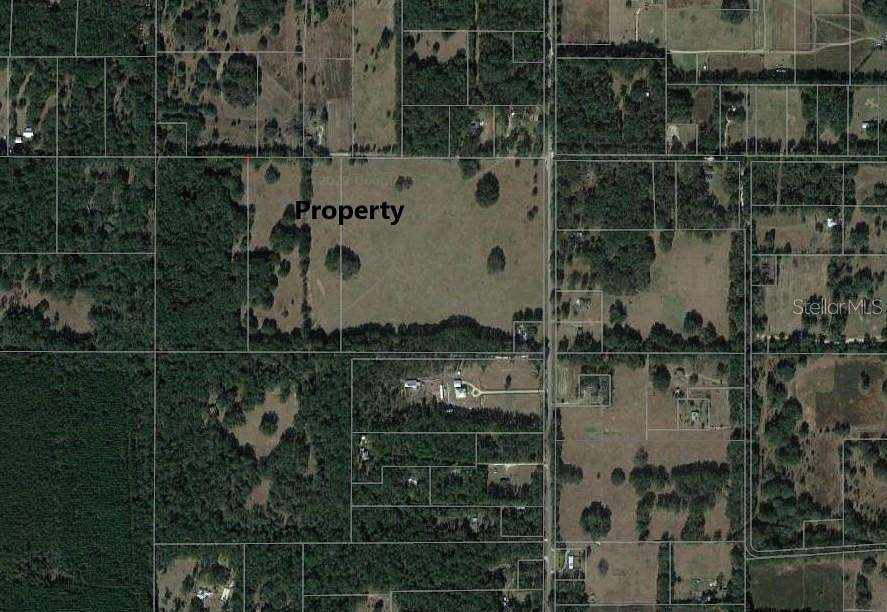 60.1 Acres of Land for Sale in Newberry, Florida