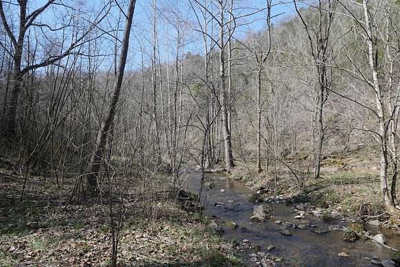 73 Acres of Recreational Land for Sale in Nickelsville, Virginia