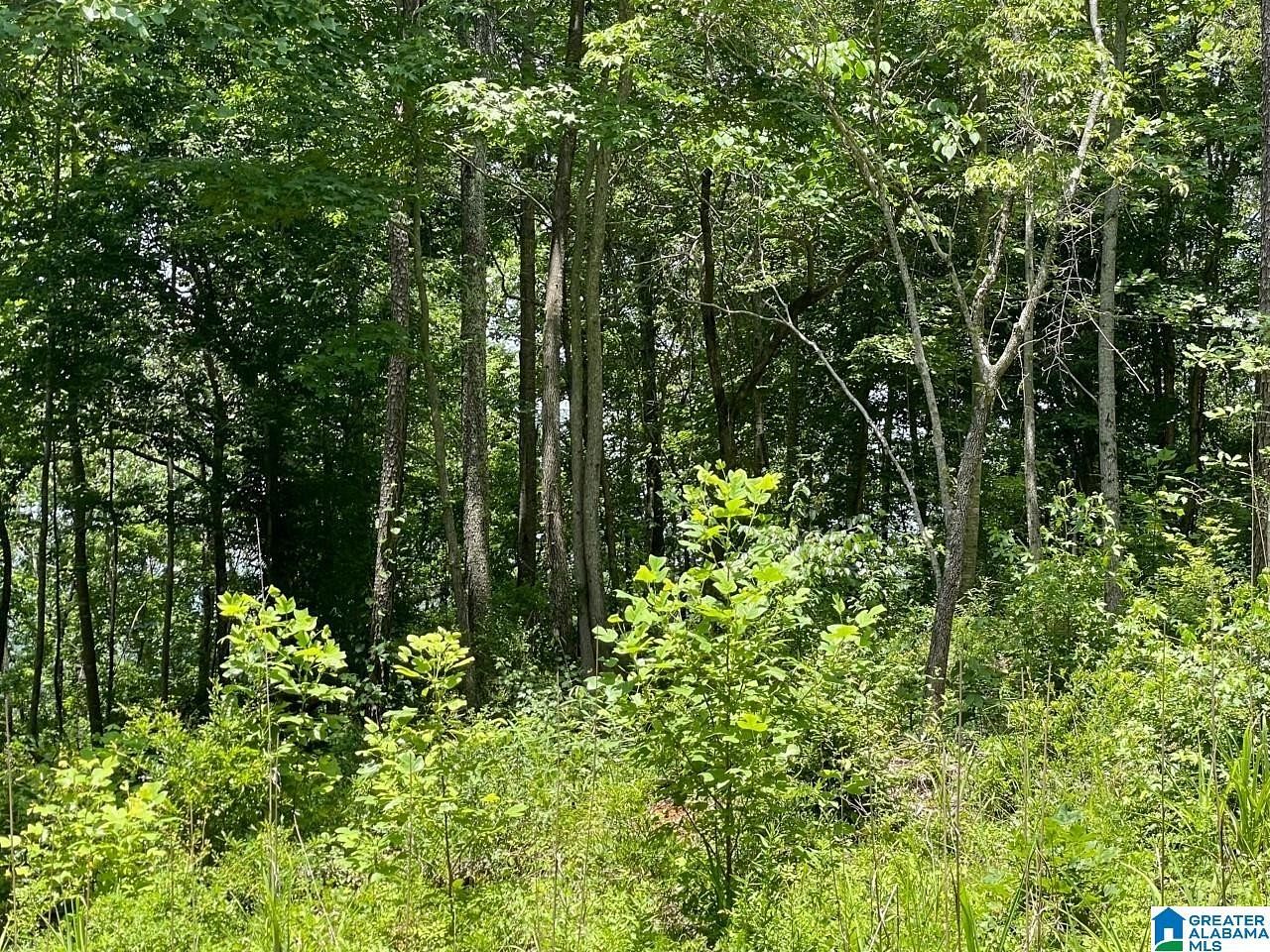 1.1 Acres of Residential Land for Sale in Wedowee, Alabama