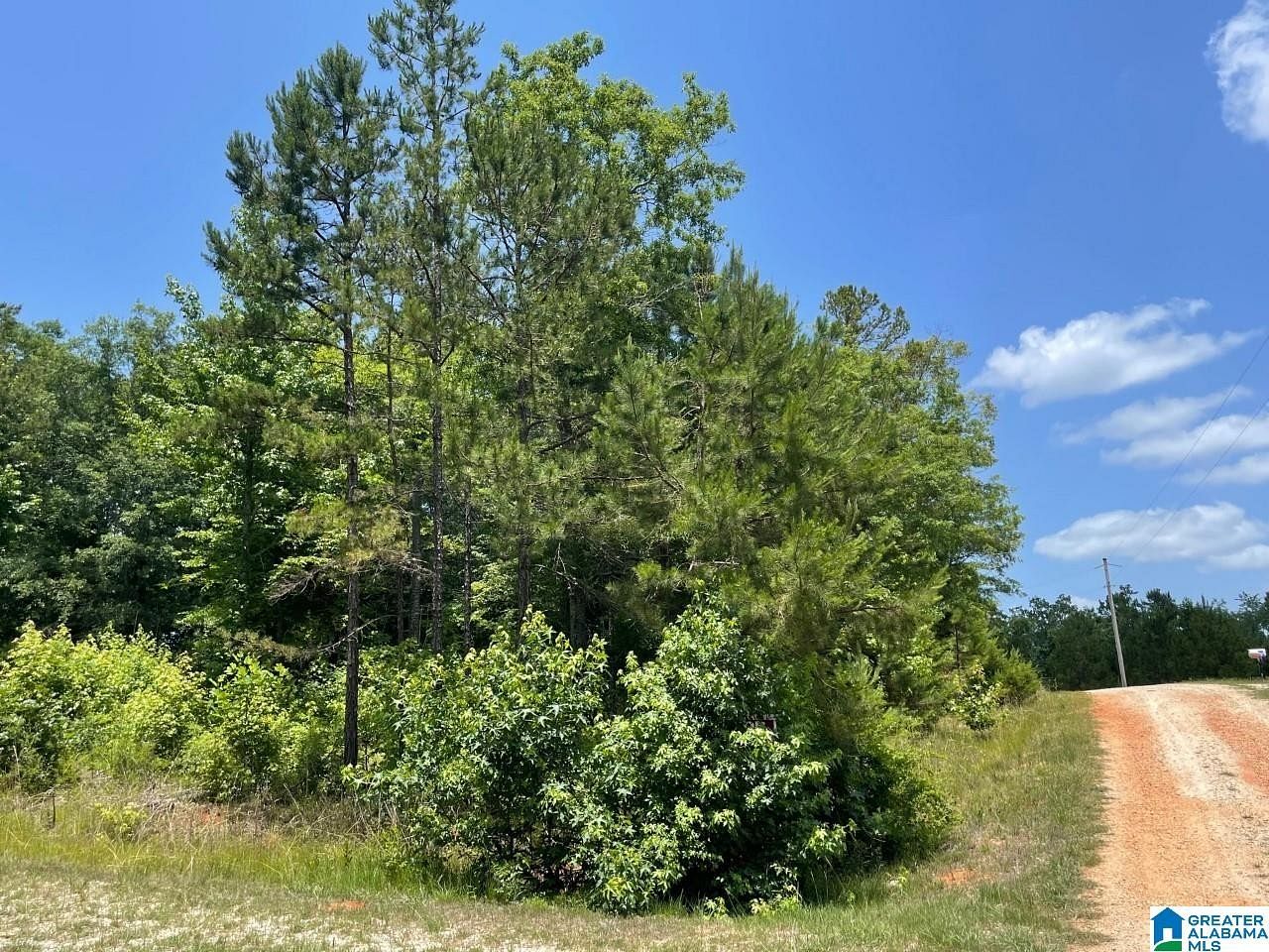 1.2 Acres of Residential Land for Sale in Wedowee, Alabama