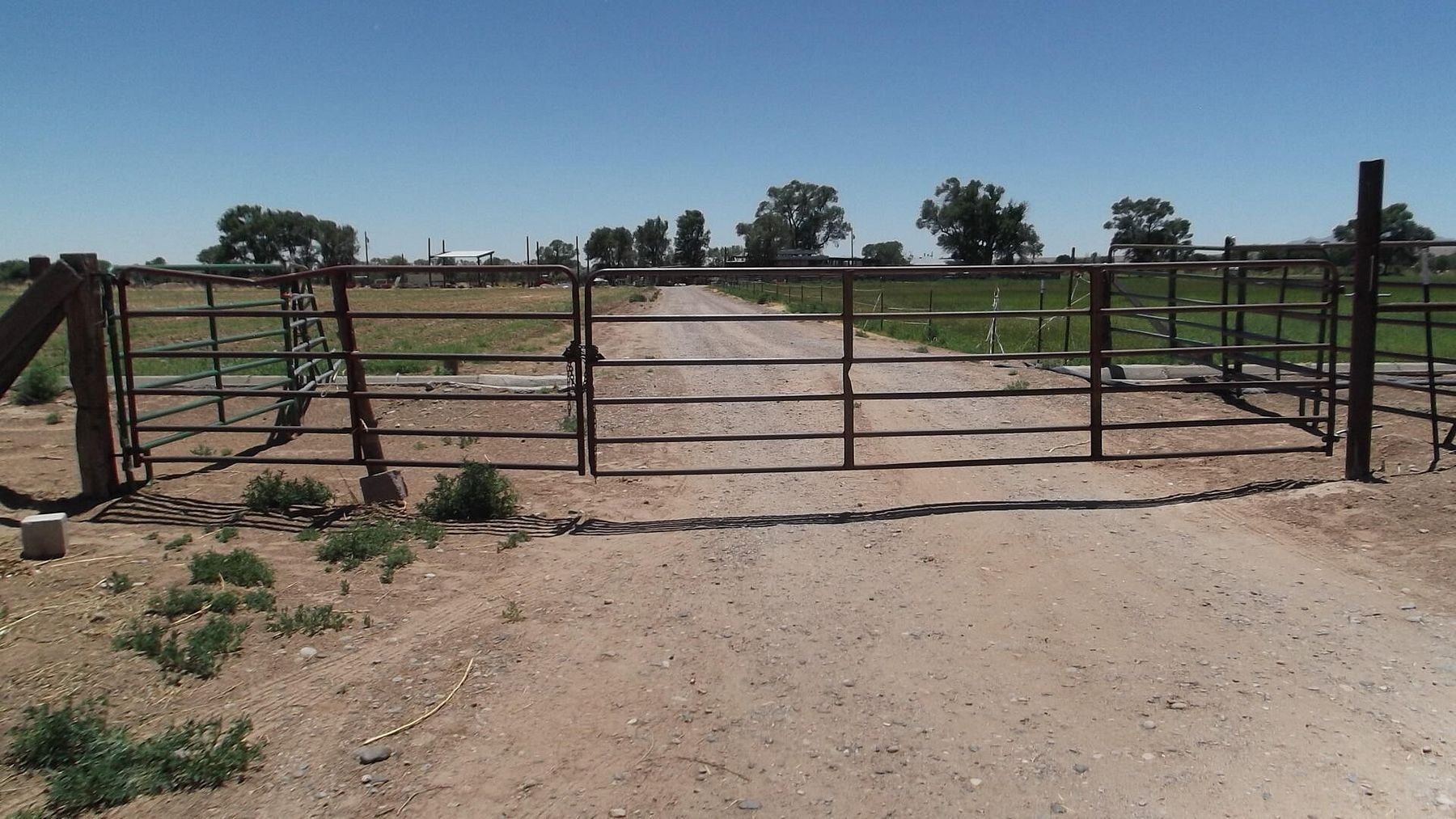 65.5 Acres of Agricultural Land for Sale in Belen, New Mexico