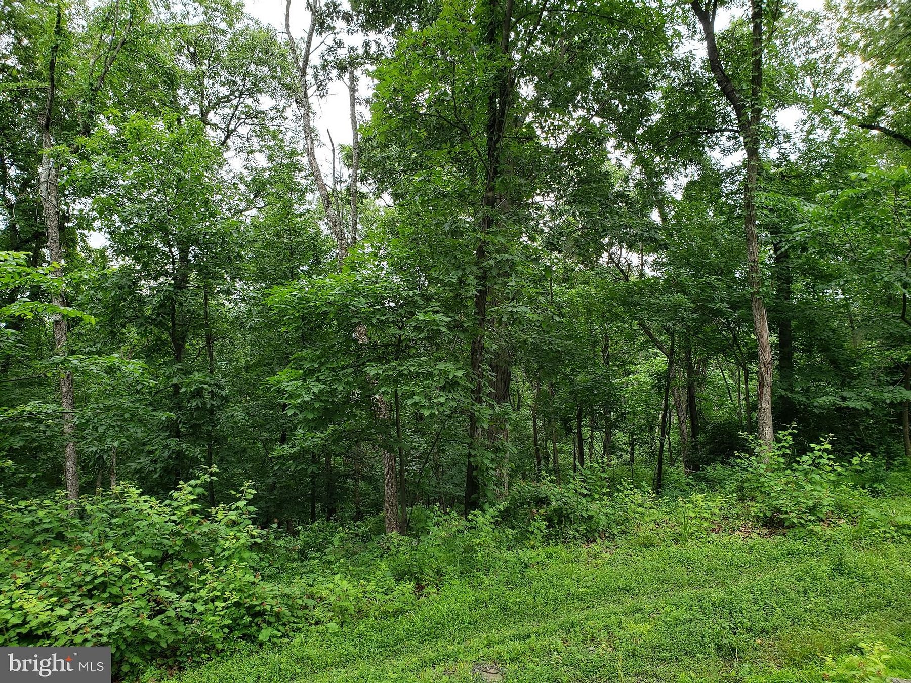 0.39 Acres of Residential Land for Sale in Front Royal, Virginia