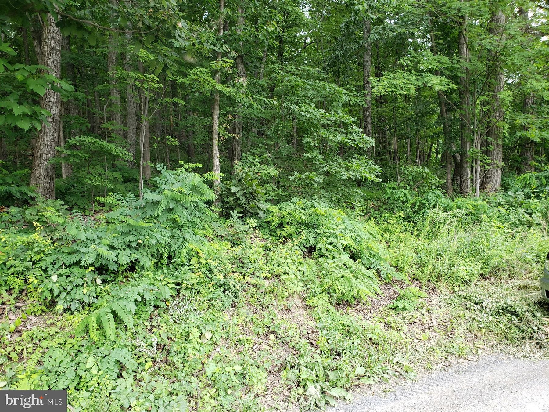 0.48 Acres of Residential Land for Sale in Front Royal, Virginia