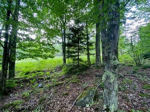 0.44 Acres of Residential Land for Sale in Davis, West Virginia