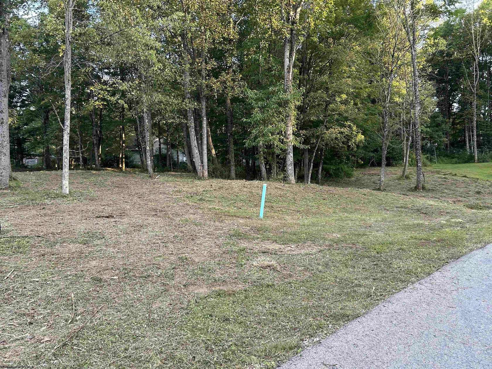 0.6 Acres of Residential Land for Sale in Kingwood, West Virginia