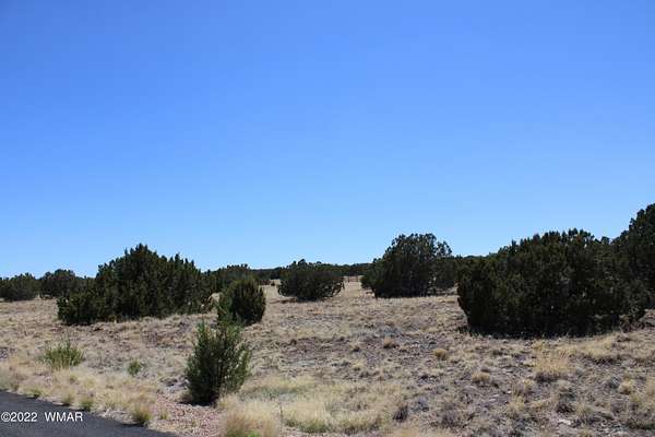 1.25 Acres of Residential Land for Sale in Show Low, Arizona
