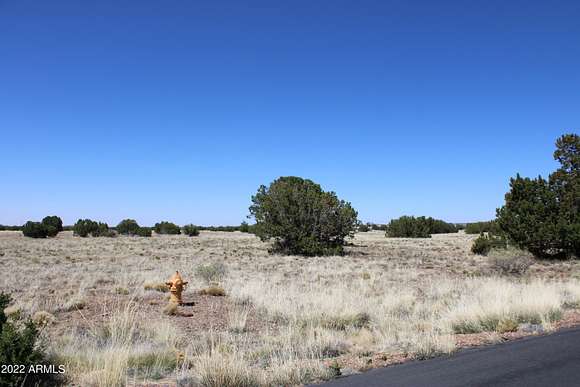 1.59 Acres of Residential Land for Sale in Show Low, Arizona