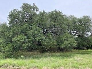 1.5 Acres of Land for Sale in Early, Texas