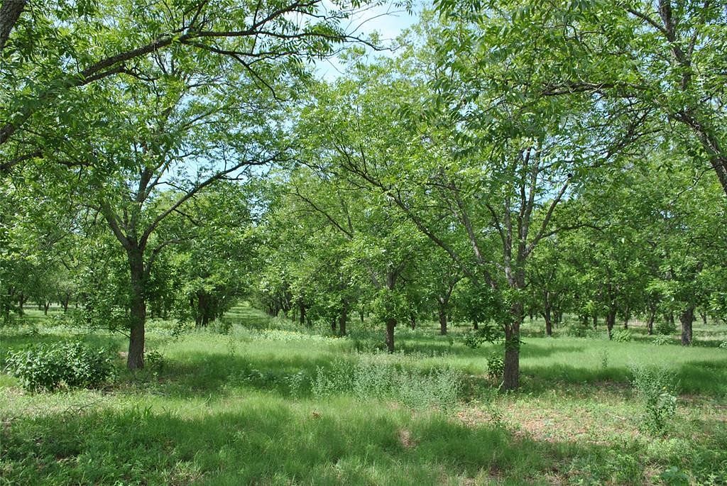 22.4 Acres of Agricultural Land for Sale in De Leon, Texas