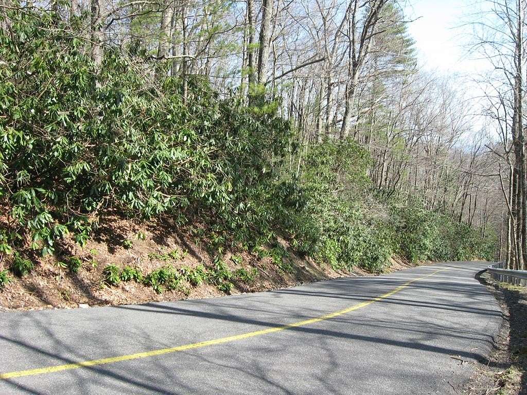 0.6 Acres of Land for Sale in Fancy Gap, Virginia