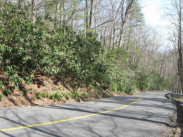 0.6 Acres of Land for Sale in Fancy Gap, Virginia