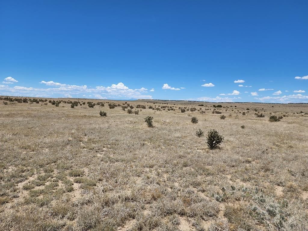 30.2 Acres of Recreational Land for Sale in Model, Colorado