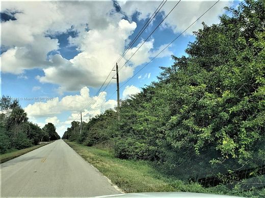 5.15 Acres of Residential Land for Sale in Naples, Florida