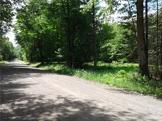 25 Acres of Land for Sale in Ohio, New York