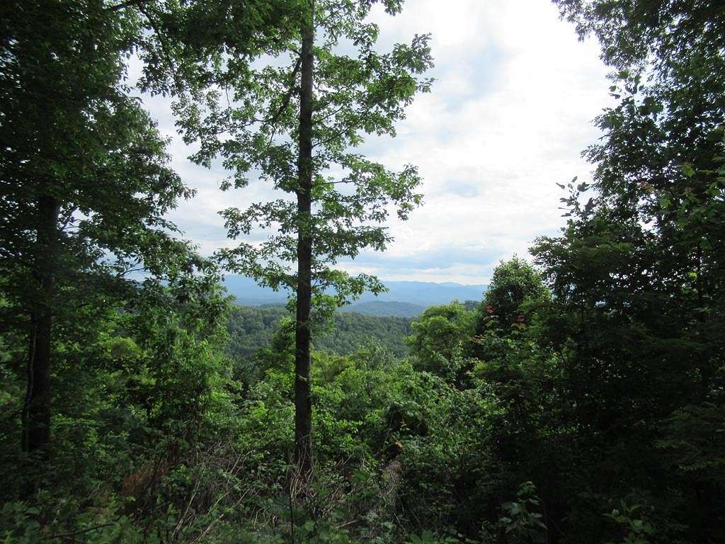 1.7 Acres of Residential Land for Sale in Millshoal Township, North Carolina