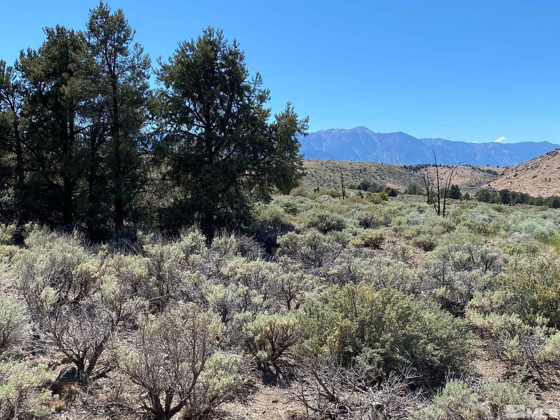 40 Acres of Land for Sale in Gardnerville, Nevada