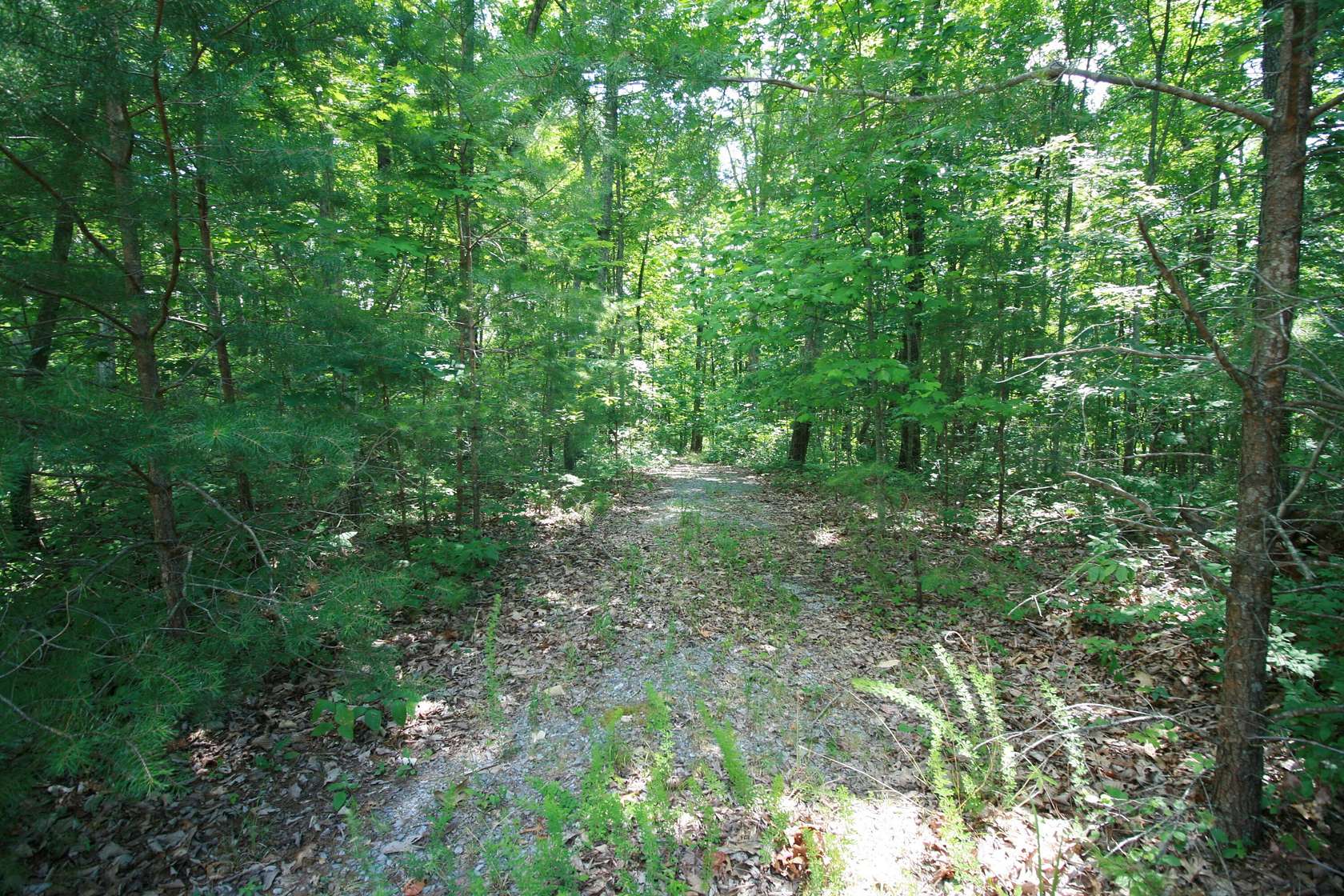 1.9 Acres of Residential Land for Sale in Dunlap, Tennessee