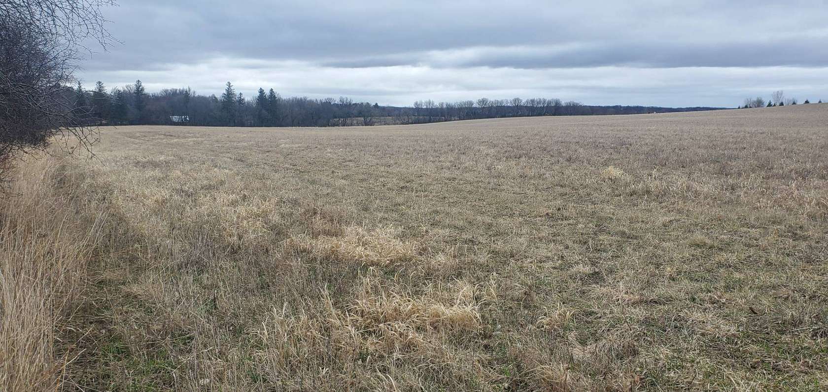 40 Acres of Land for Sale in Kasson, Minnesota