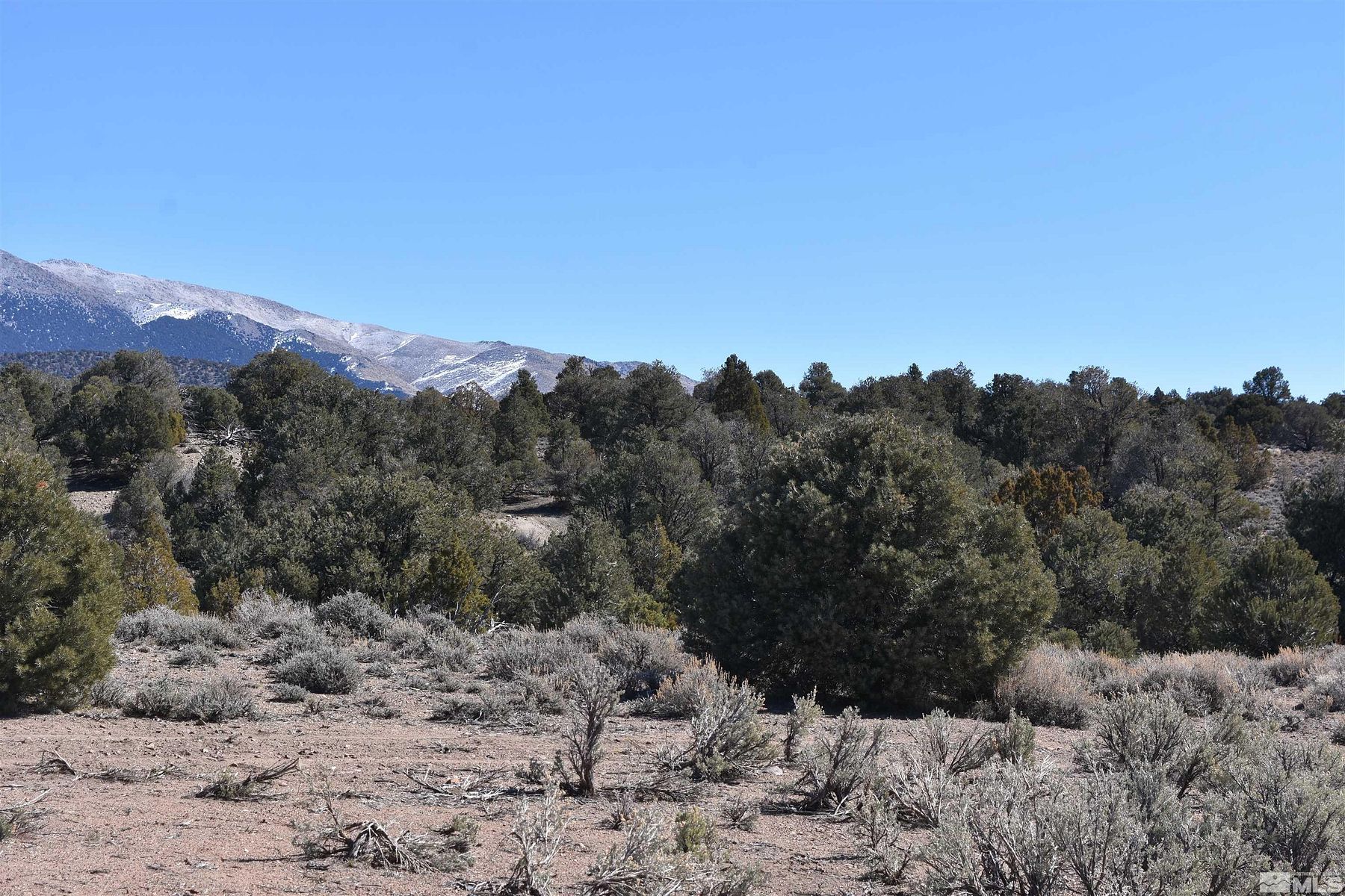 40 Acres of Recreational Land for Sale in Gardnerville, Nevada