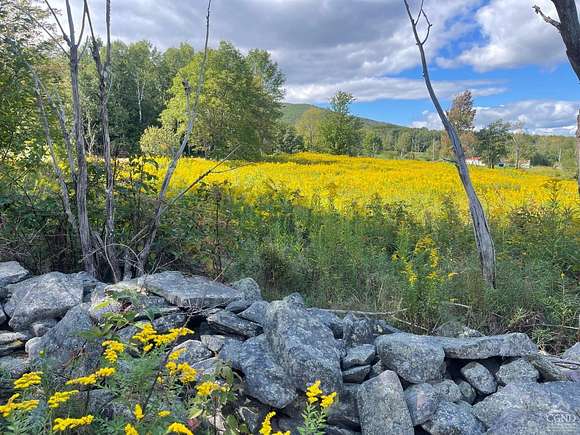 11.2 Acres of Land for Sale in Prattsville, New York