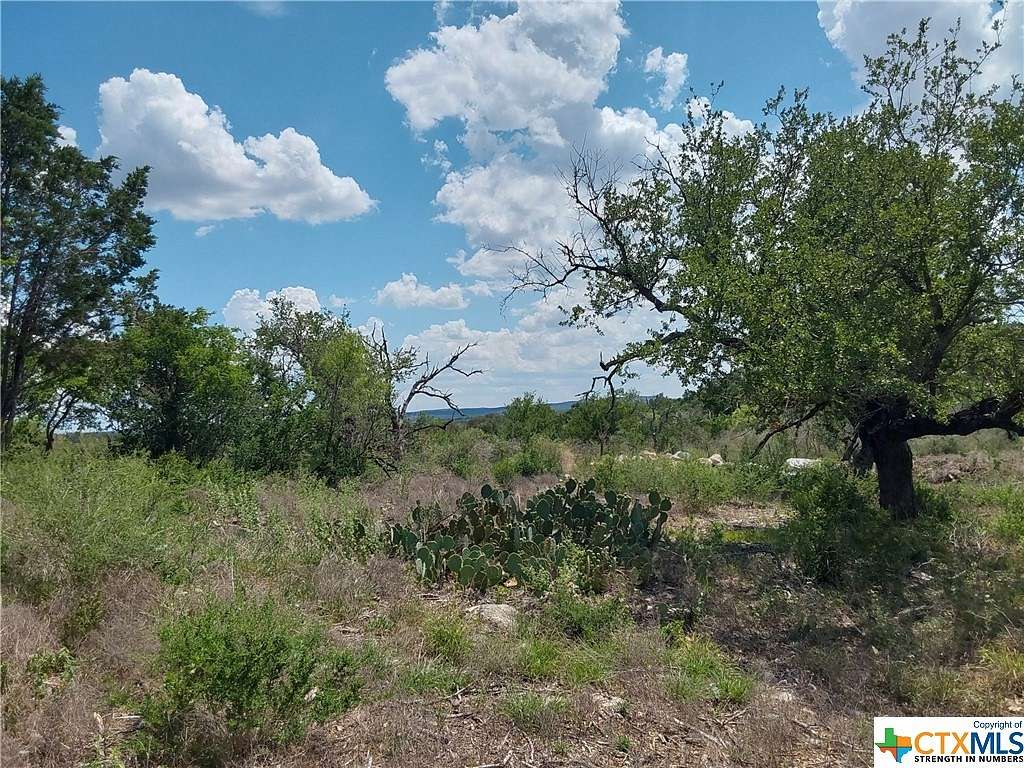 1 Acre of Residential Land for Sale in Spicewood, Texas