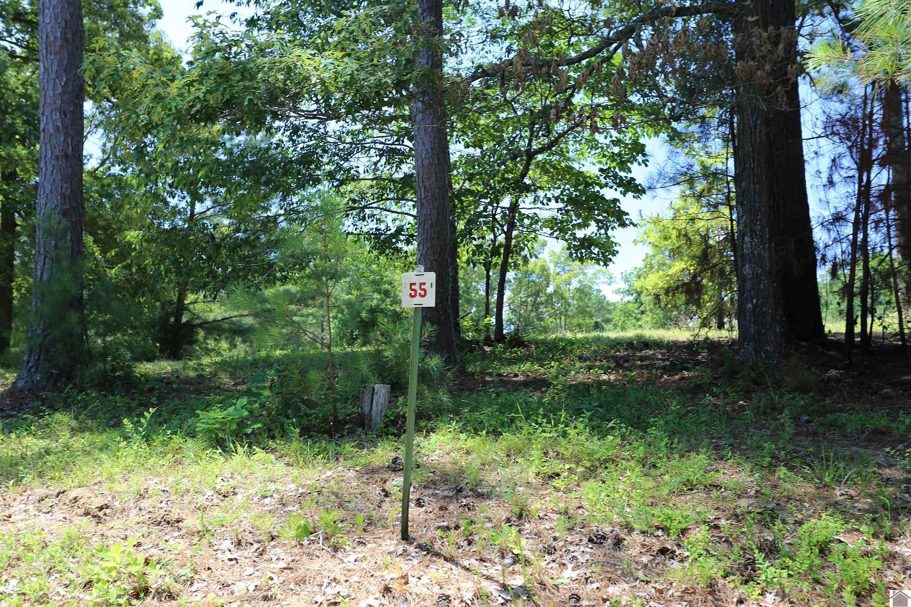 0.5 Acres of Residential Land for Sale in Benton, Kentucky