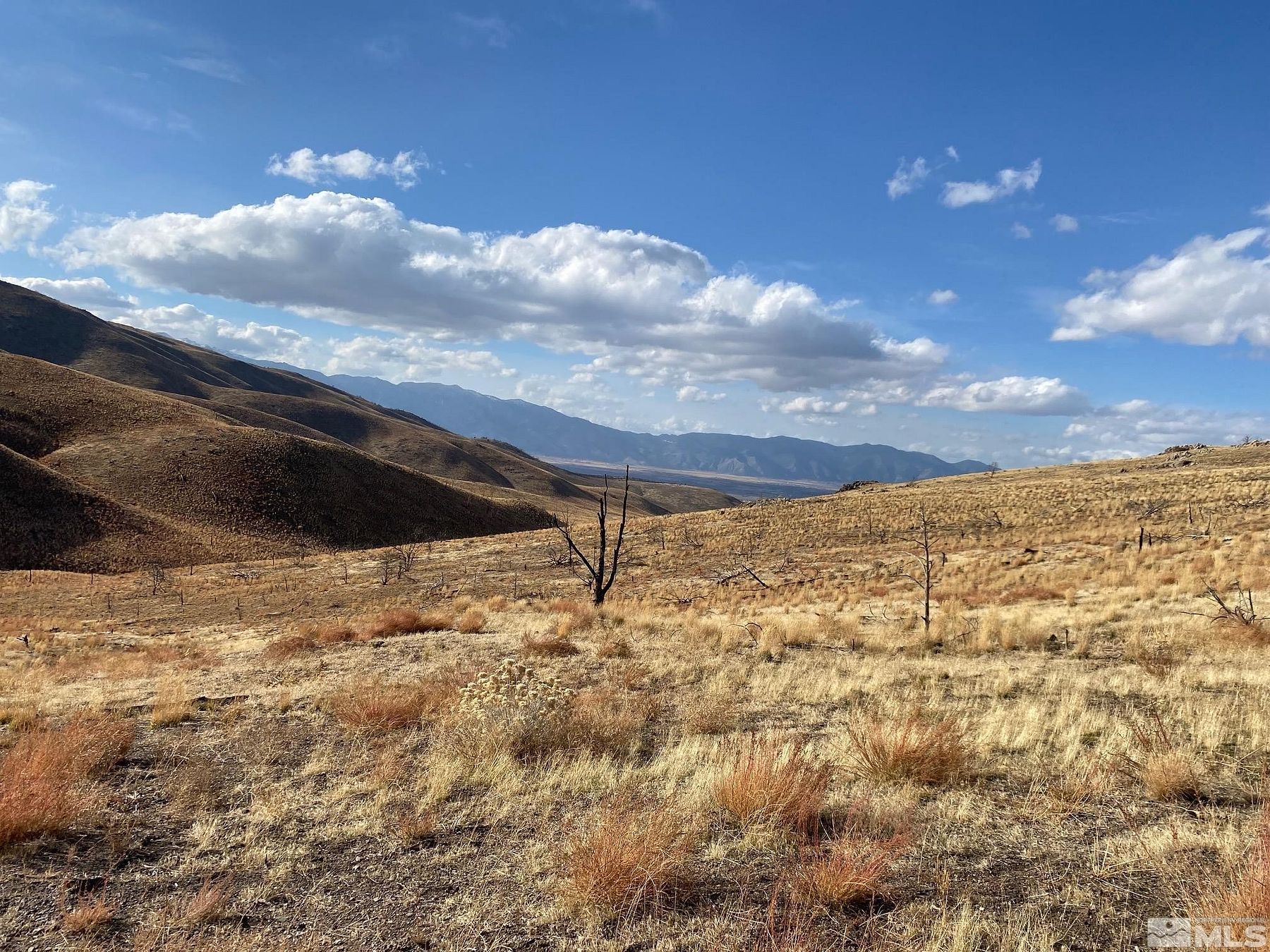 80 Acres of Land for Sale in Gardnerville, Nevada