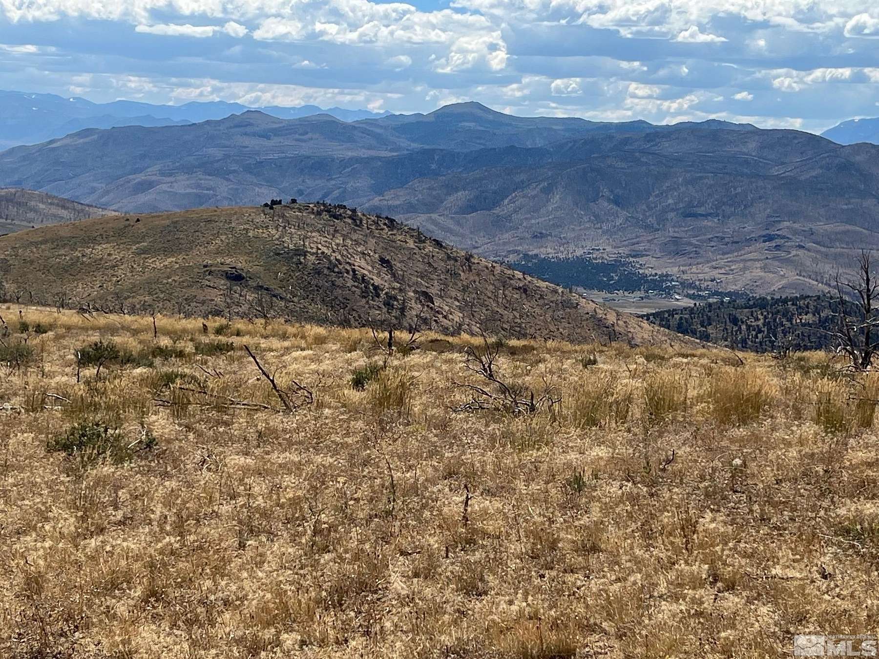 320 Acres of Recreational Land for Sale in Gardnerville, Nevada