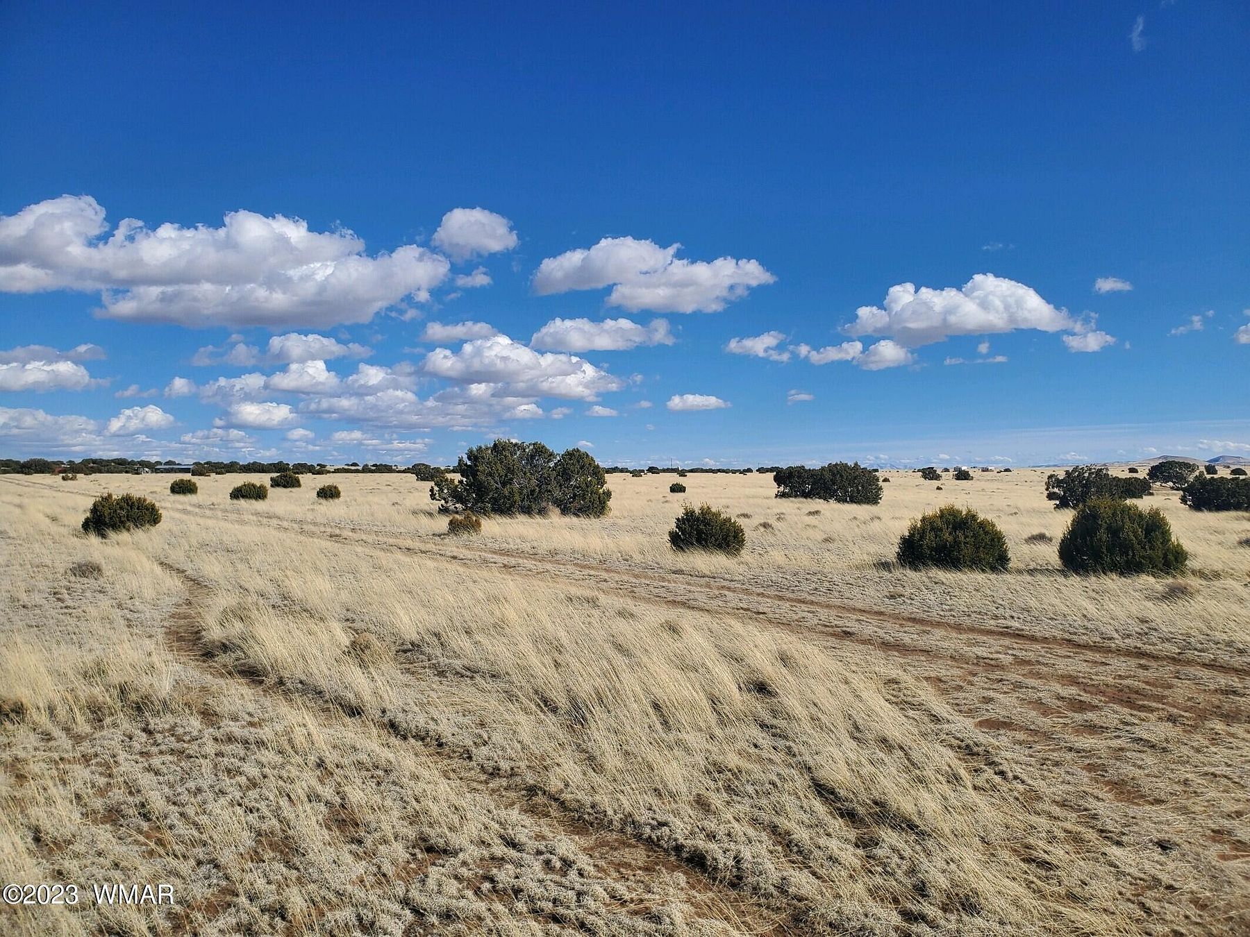 1.04 Acres of Residential Land for Sale in Concho, Arizona