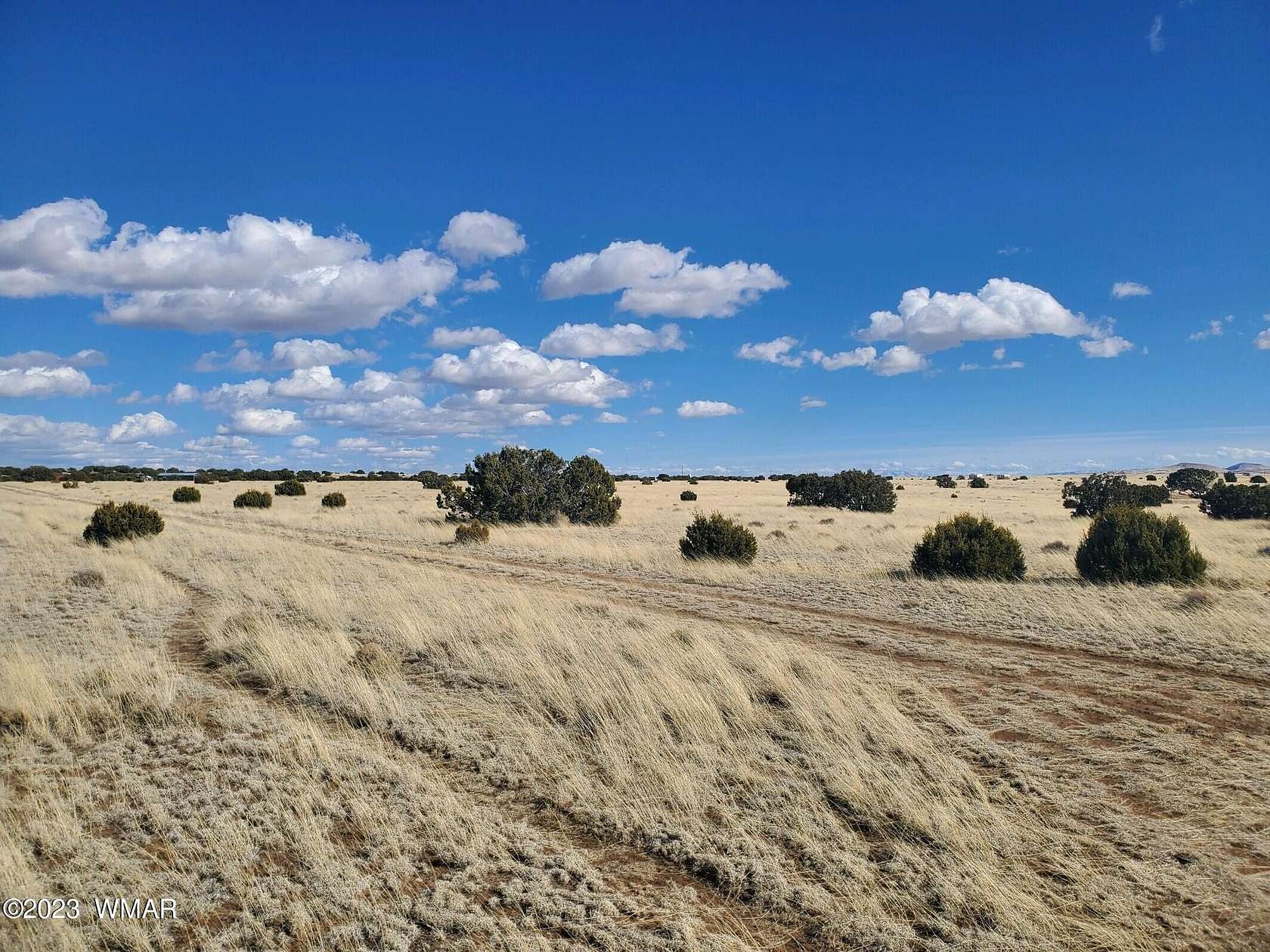 1 Acre of Residential Land for Sale in Concho, Arizona